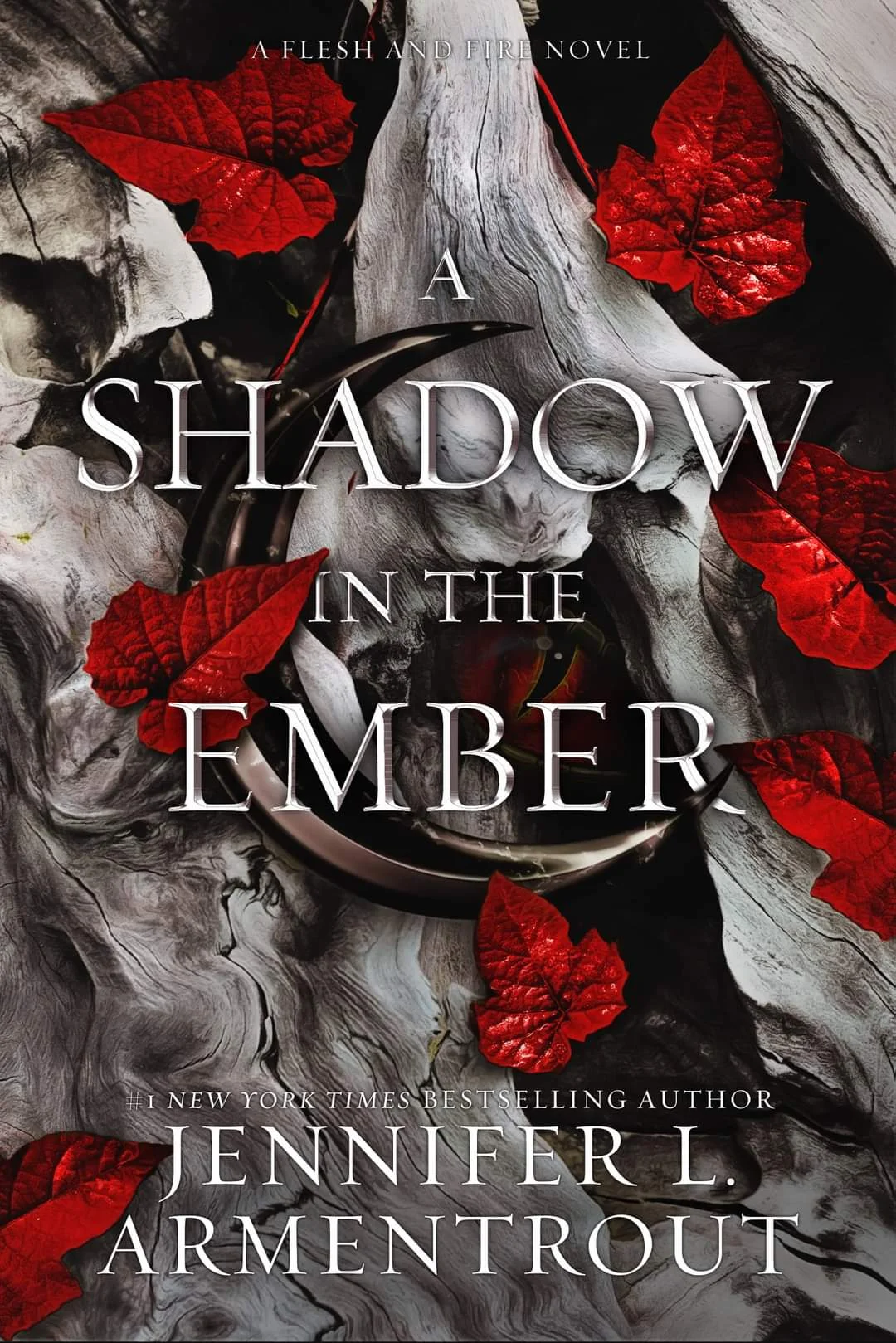 Featured image for Résumé de « A Shadow in the Ember » par Jennifer L. Armentrout