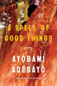 Featured image for Résumé de "Un sort de bonnes choses" par Ayọ̀bámi Adébáyọ̀