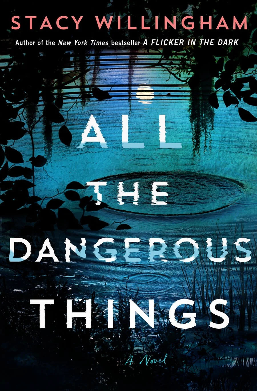 Featured image for Résumé de « All the Dangerous Things » par Stacy Willingham