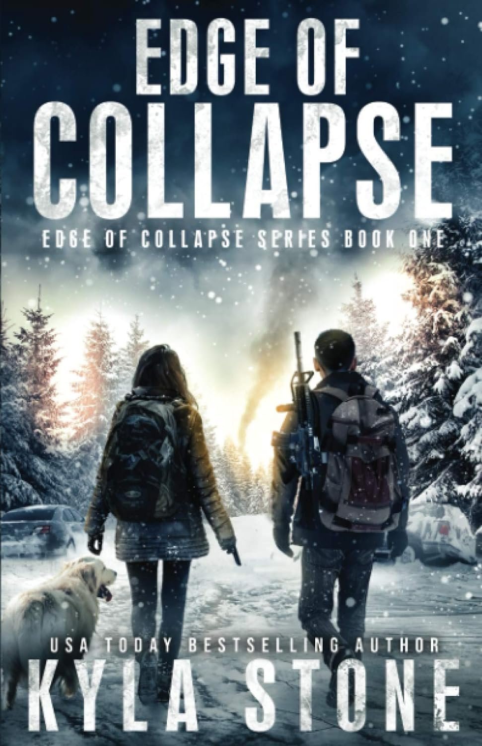 Featured image for Résumé de "Edge of Collapse" par Kyla Stone