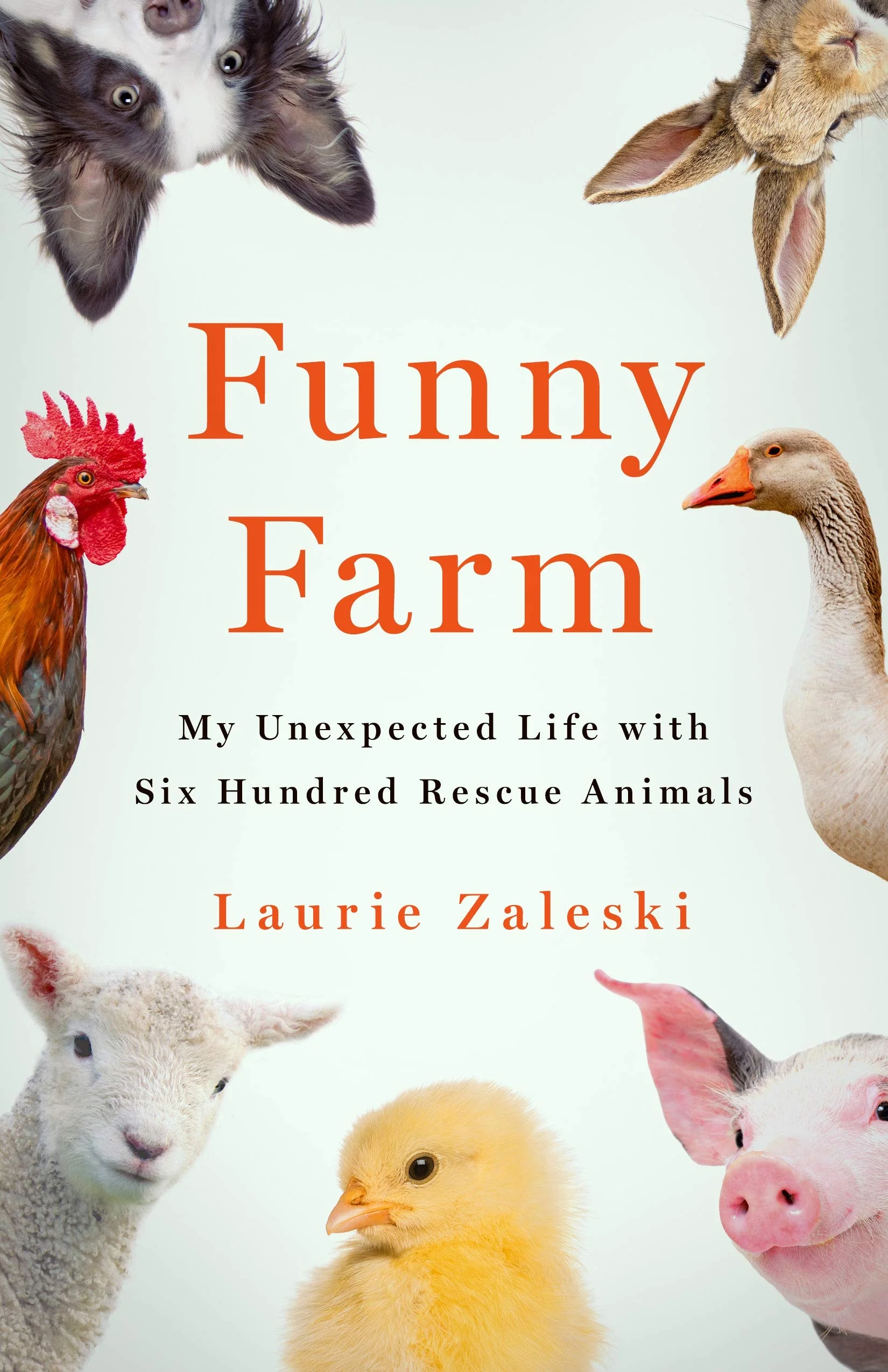 Featured image for Résumé de « Funny Farm : Ma vie inattendue avec 600 animaux secourus » par Laurie Zaleski