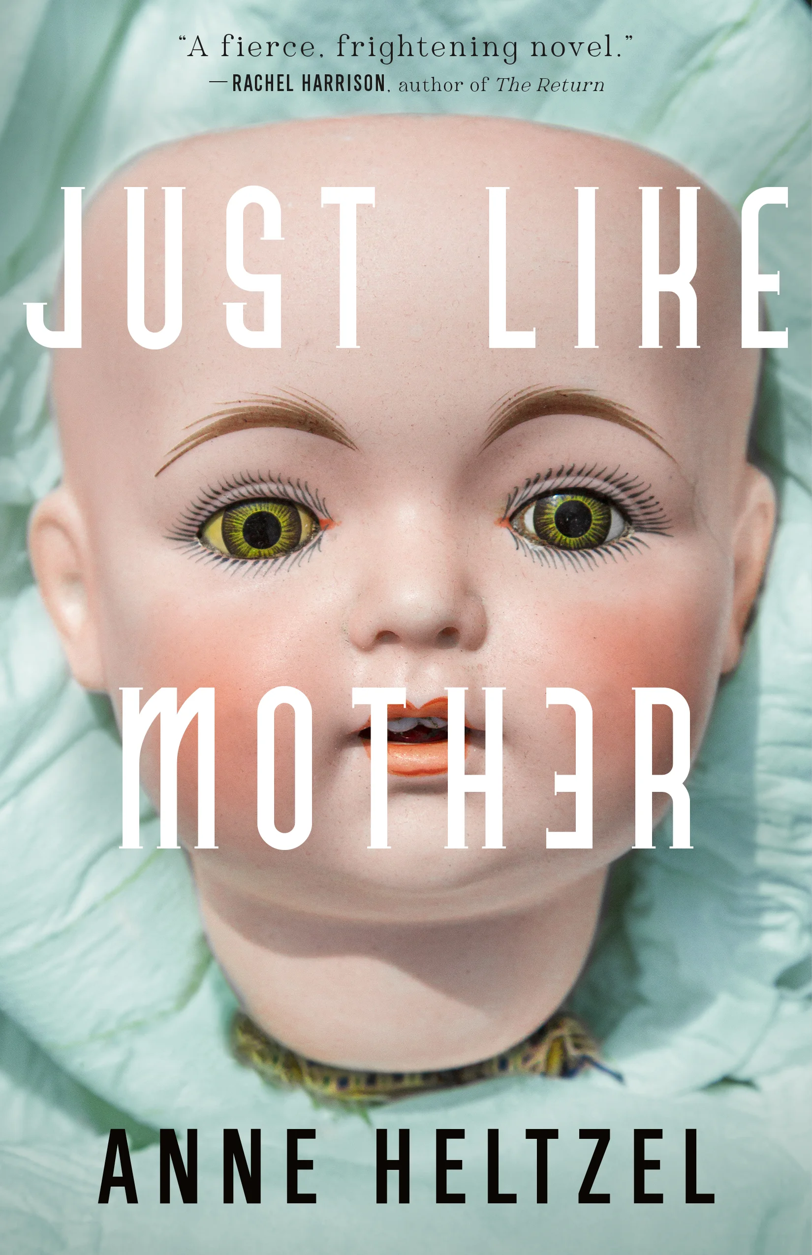 Featured image for Résumé de 'Just Like Mother' par Anne Heltzel