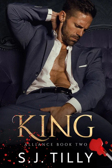 Featured image for Résumé de "King" par S.J. Tilly
