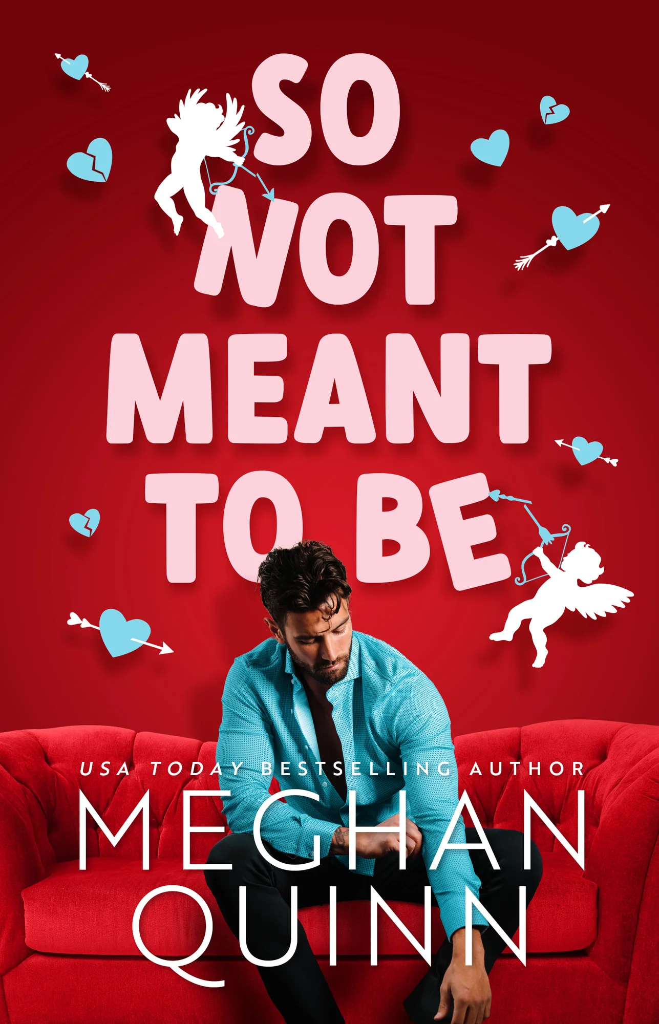 Featured image for Résumé de « So Not Meant To Be » par Meghan Quinn