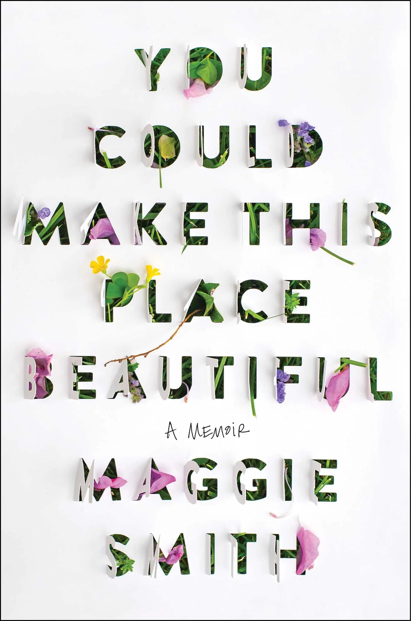 Featured image for Résumé de 'You Could Make This Place Beautiful' par Maggie Smith