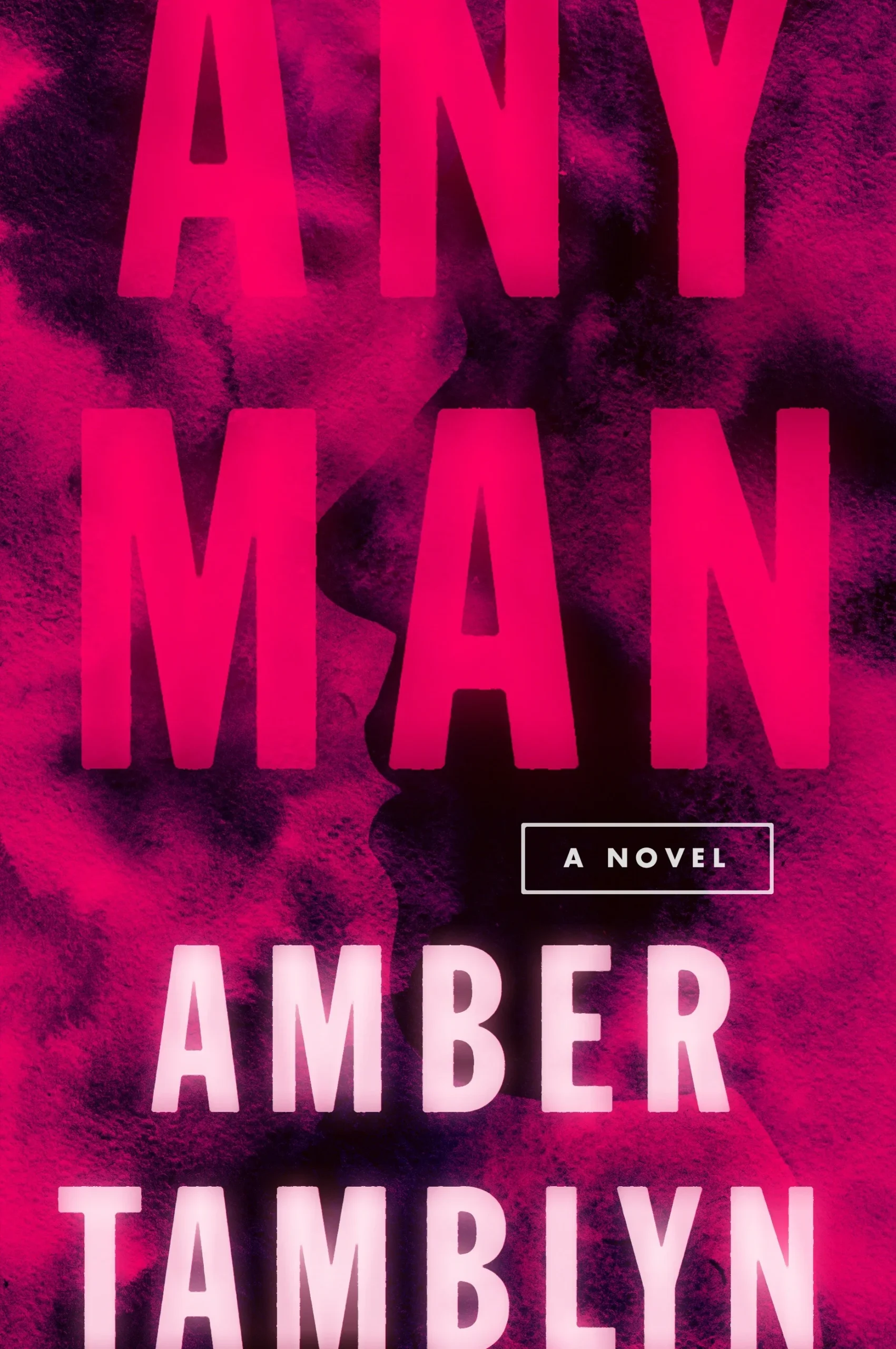 Featured image for Résumé de 'Any Man' par Amber Tamblyn