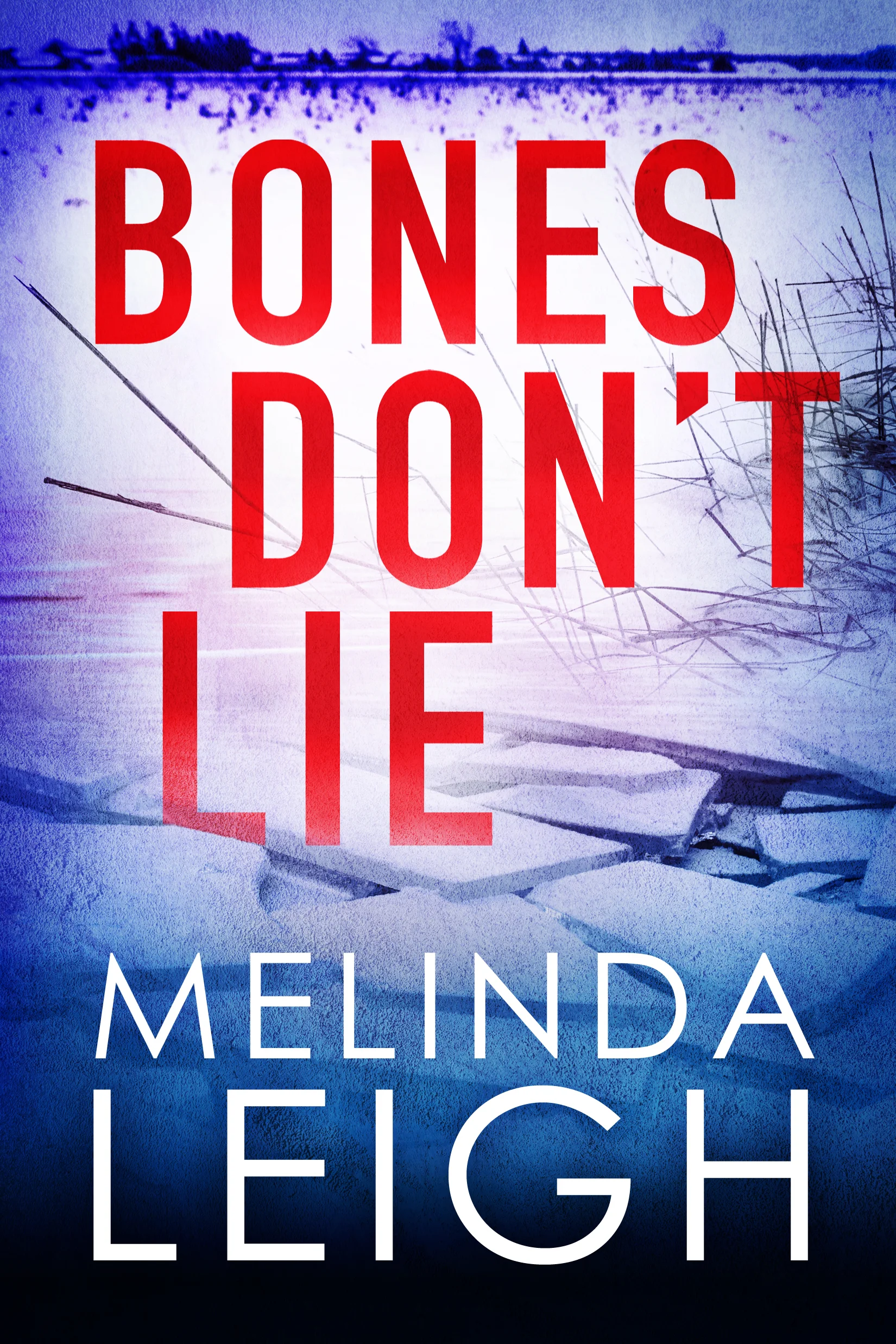 Featured image for Résumé de "Bones Don’t Lie" par Melinda Leigh