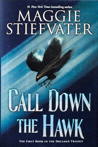 Featured image for Résumé de « Call Down the Hawk » par Maggie Stiefvater