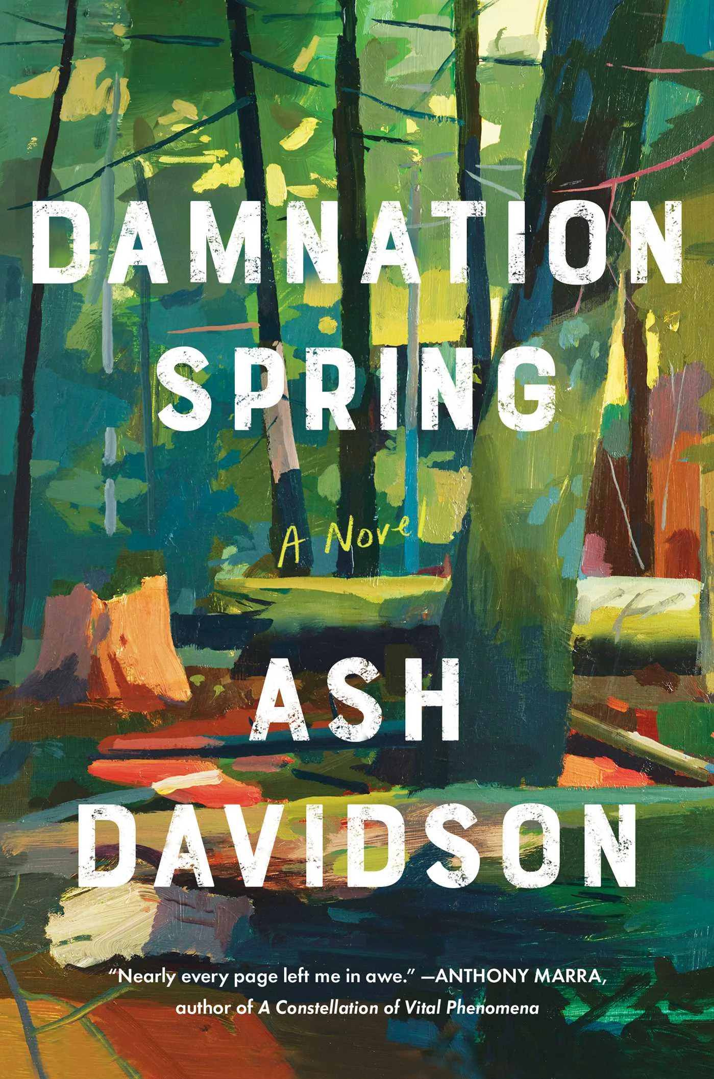 Featured image for Résumé de 'Damnation Spring' par Ash Davidson