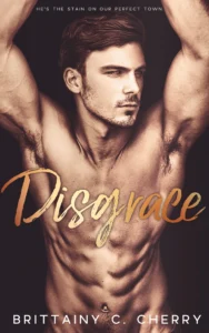 Featured image for Résumé de 'Désir' par Brittainy C. Cherry