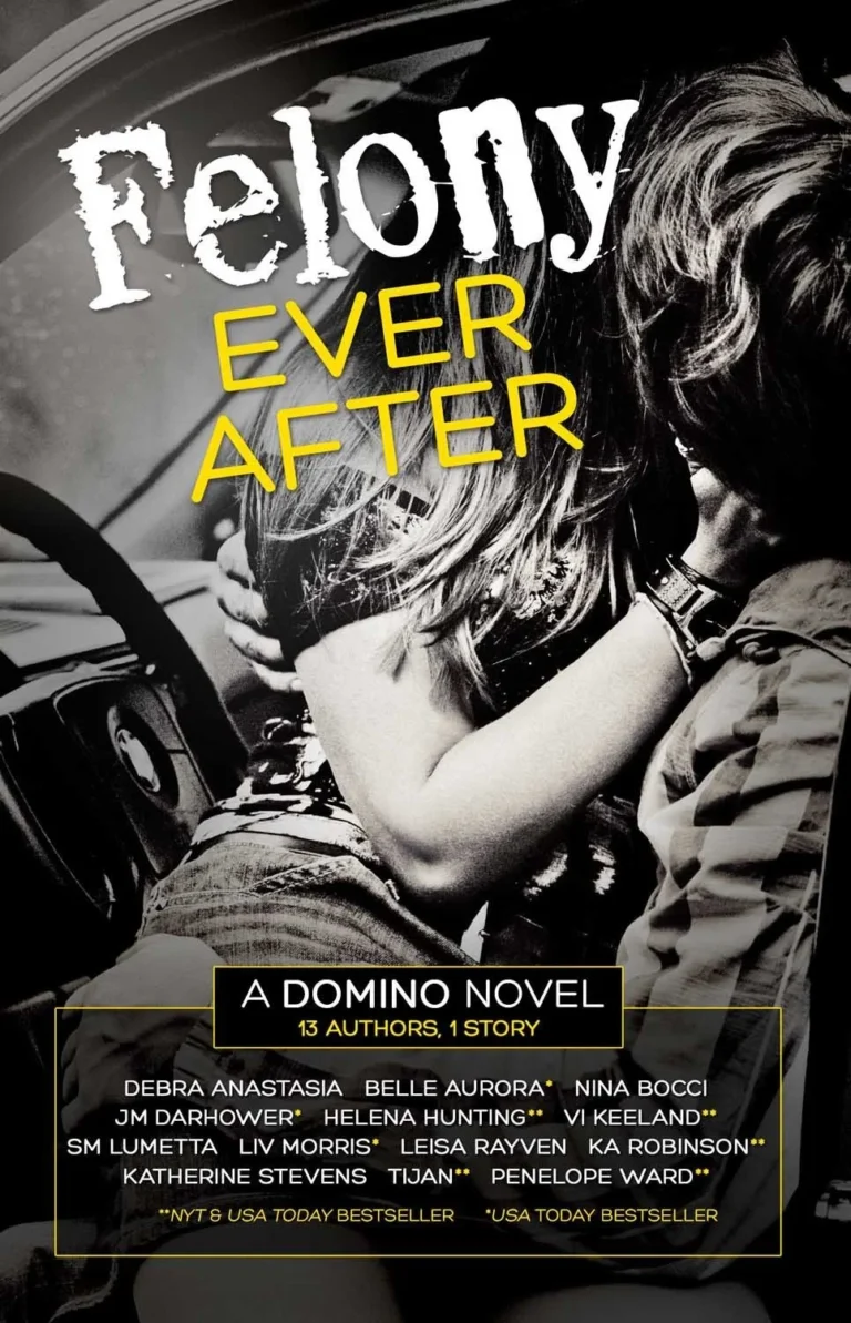 Featured image for Résumé de 'Felony Ever After' par Debra Anastasia et d'autres