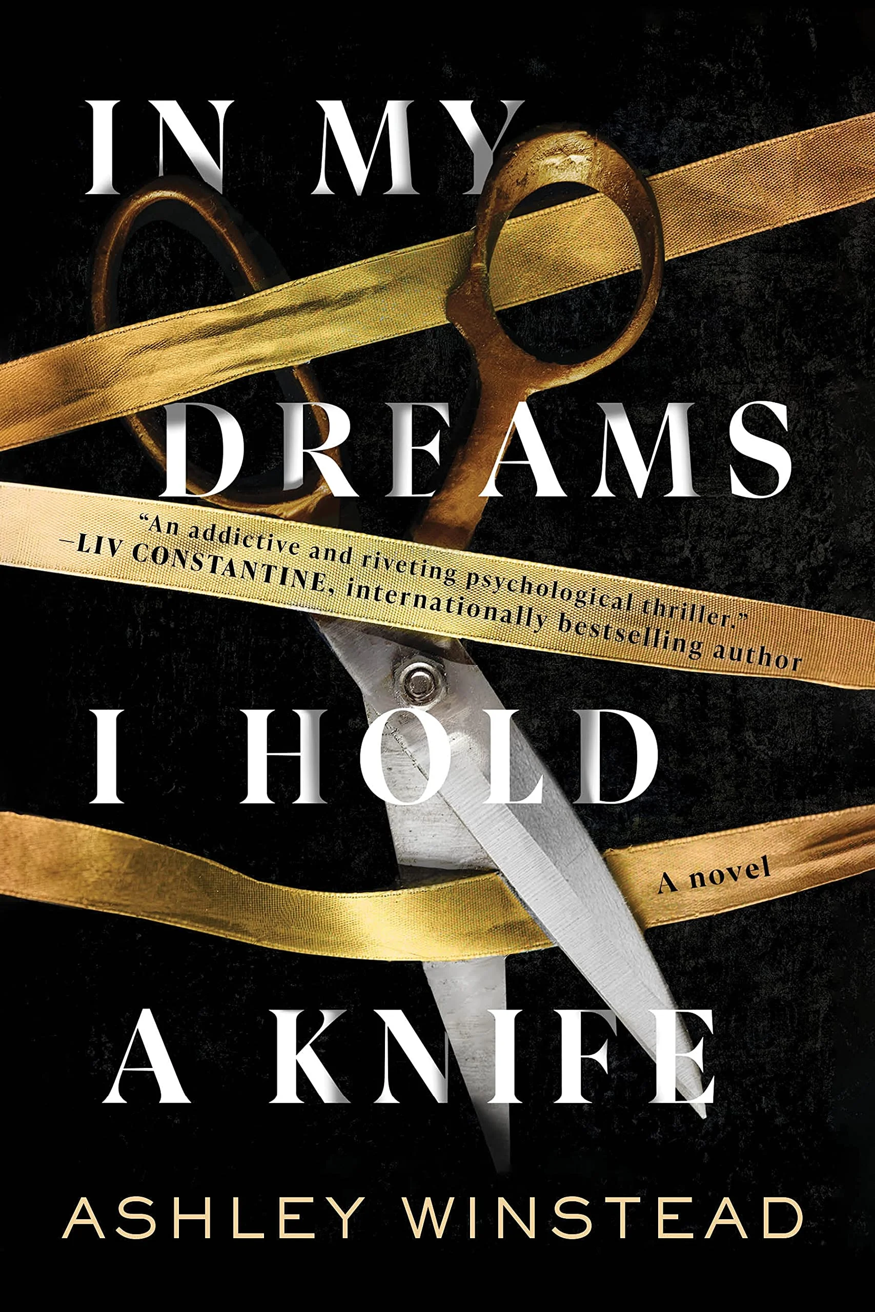 Featured image for Résumé de "In My Dreams I Hold a Knife" par Ashley Winstead