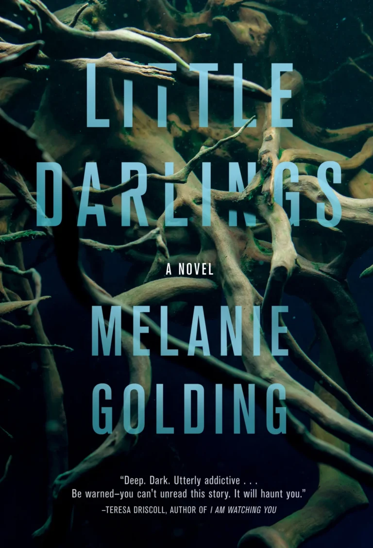 Featured image for Résumé de "Little Darlings" par Melanie Golding