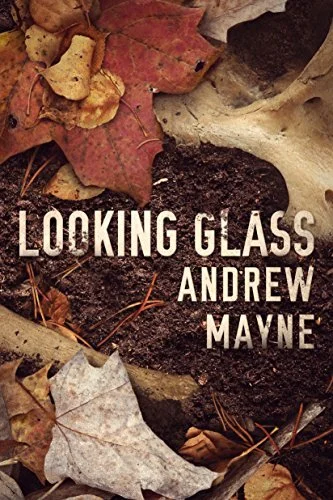 Featured image for Résumé de "Looking Glass" par Andrew Mayne