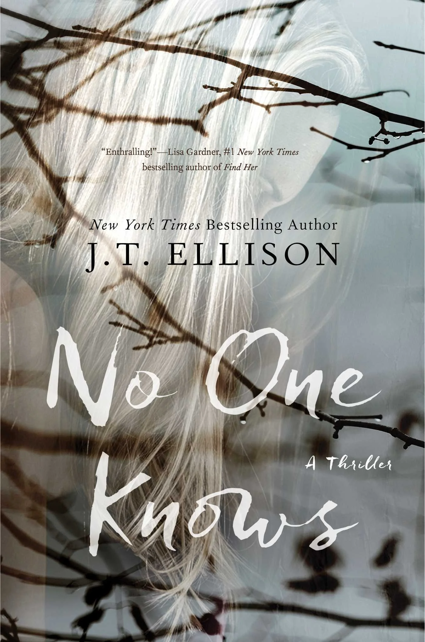 Featured image for Résumé de 'No One Knows' par J.T. Ellison