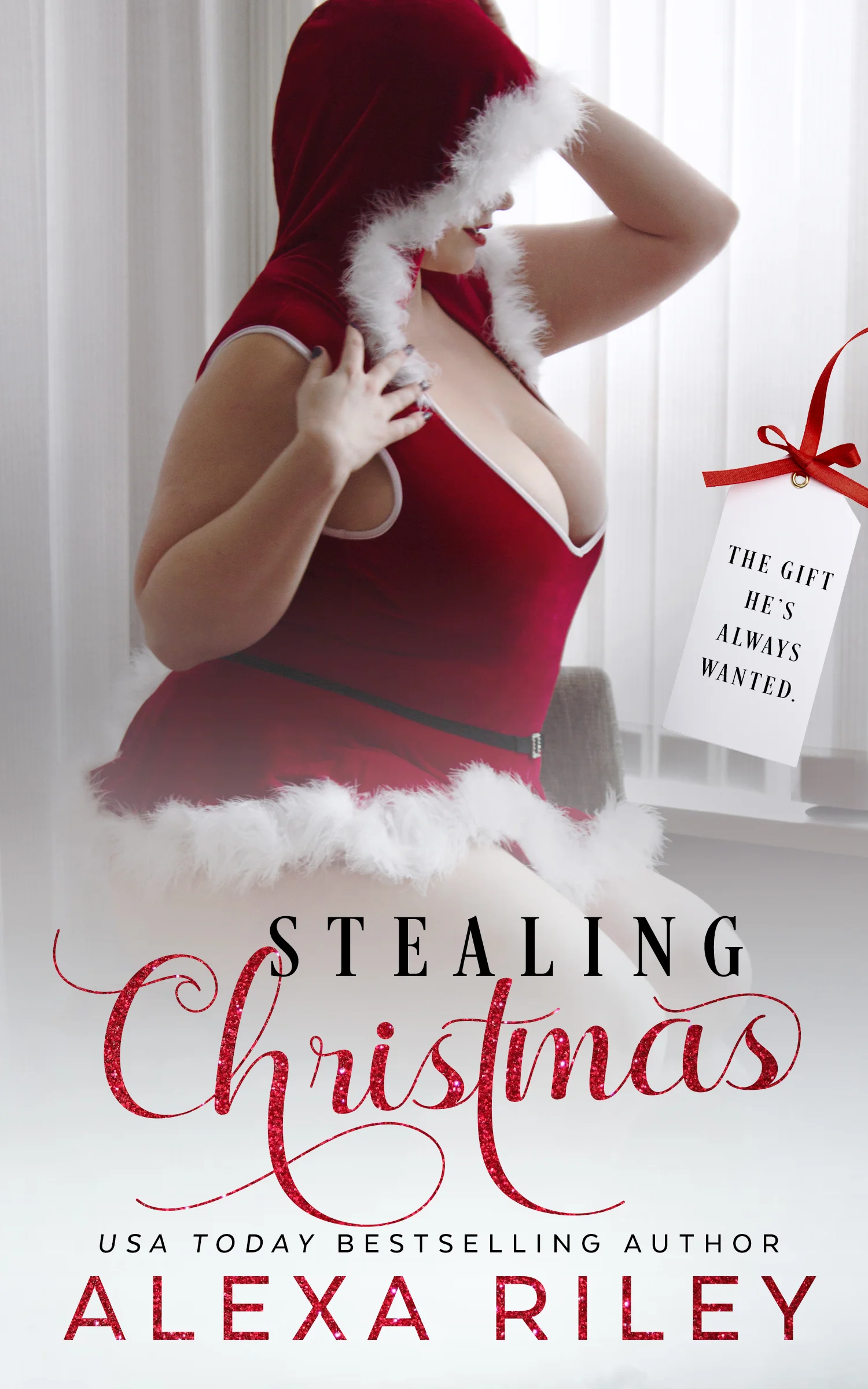 Featured image for Résumé de "Stealing Christmas" par Alexa Riley