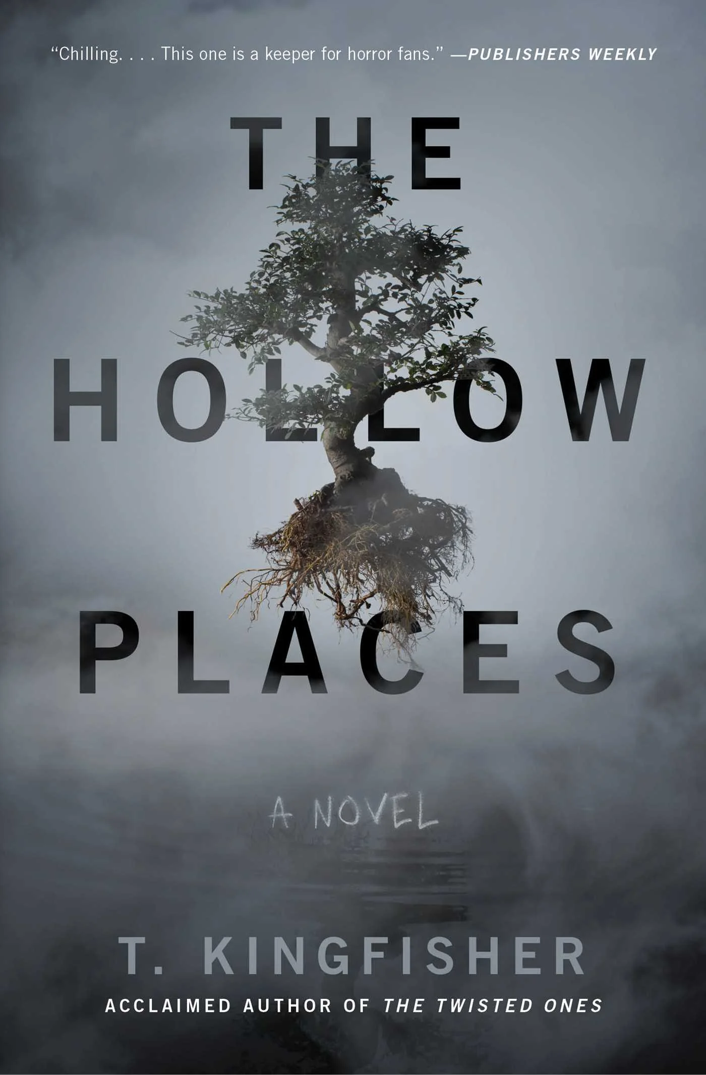 Featured image for Résumé de 'The Hollow Places' par T. Kingfisher