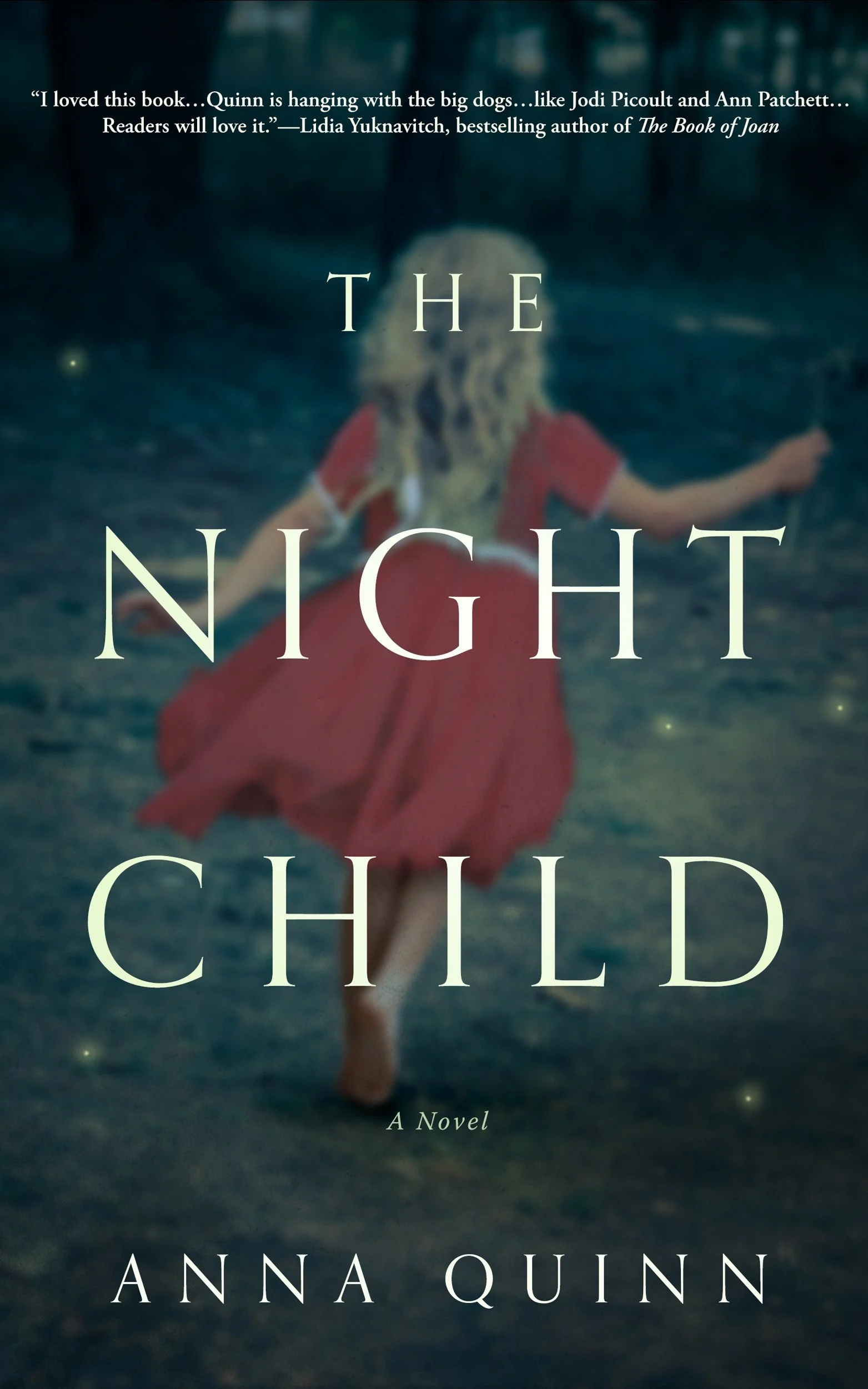 Featured image for Résumé de « The Night Child » par Anna Quinn