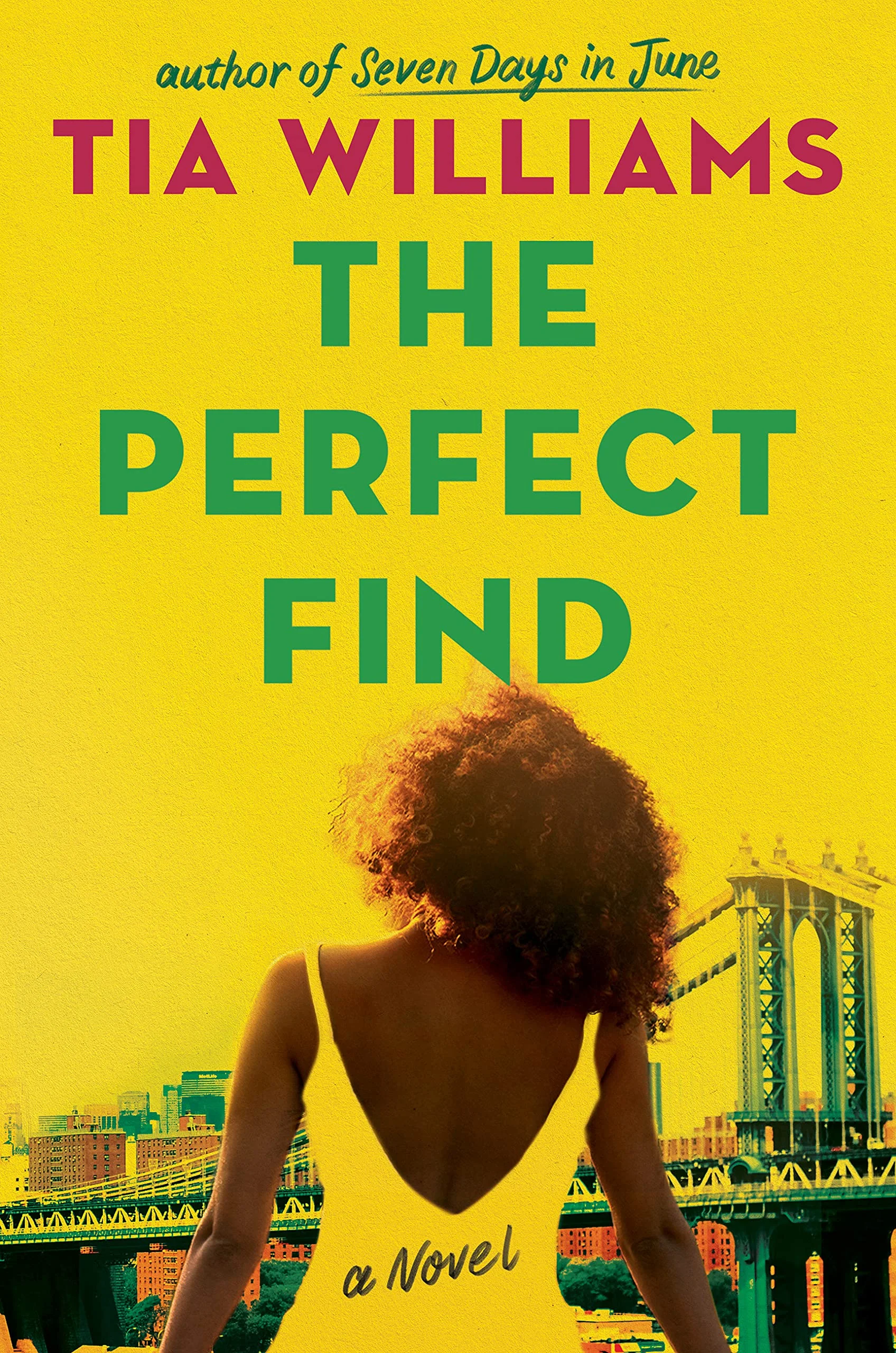 Featured image for Résumé de "The Perfect Find" par Tia Williams