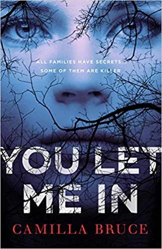 Featured image for Résumé de 'You Let Me In' par Camilla Bruce