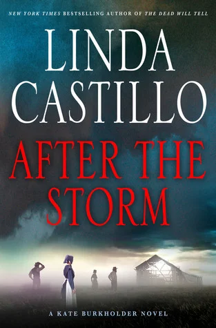 Featured image for Résumé de "After the Storm" par Linda Castillo