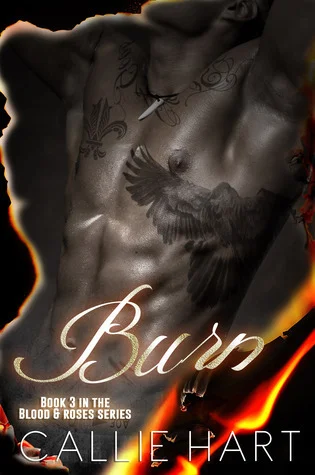 Featured image for Résumé de 'Burn' par Callie Hart