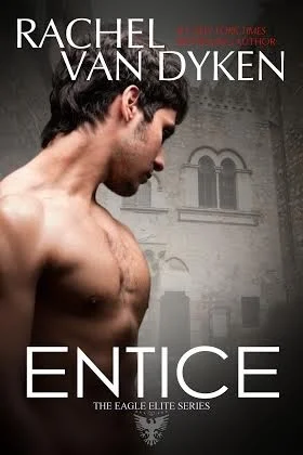 Featured image for Résumé de 'Entice' par Rachel Van Dyken