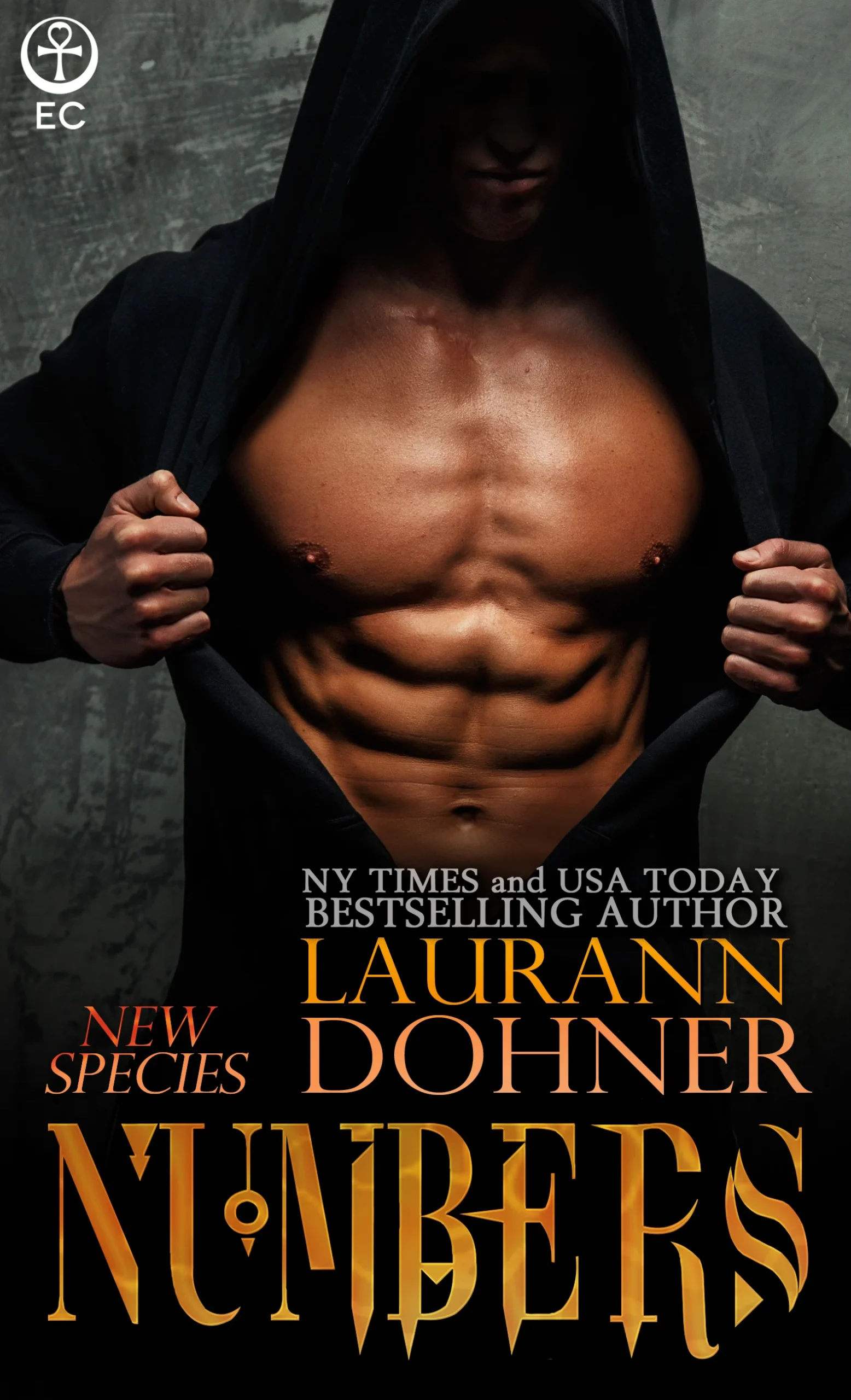 Featured image for Résumé de 'Numbers' par Laurann Dohner