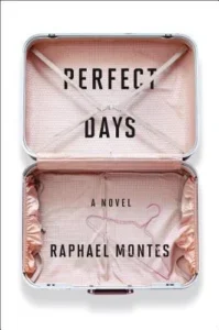 Featured image for Résumé de « Perfect Days » par Raphael Montes