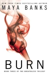 Featured image for Résumé de 'Burn' par Maya Banks