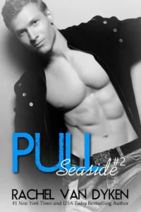 Featured image for Résumé de 'Pull' par Rachel Van Dyken