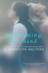 Featured image for Résumé de "Reclaiming the Sand" par A. Meredith Walters