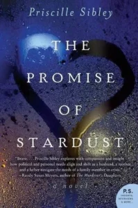 Featured image for Résumé de 'The Promise of Stardust' par Priscille Sibley