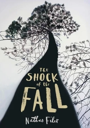 Featured image for Résumé de « The Shock of the Fall » par Nathan Filer