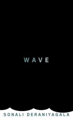 Featured image for Résumé de "Wave" par Sonali Deraniyagala