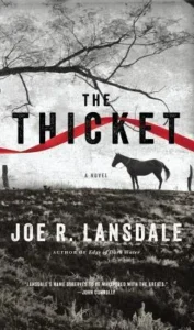 Featured image for Résumé de 'The Thicket' par Joe R. Lansdale