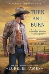 Featured image for Résumé de « Turn and Burn » par Lorelei James