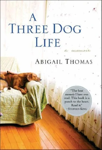 Featured image for Résumé de 'Une vie en trois chiens' par Abigail Thomas