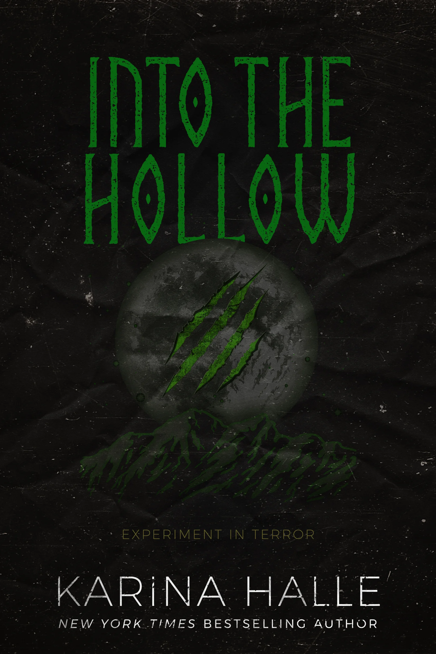 Featured image for Résumé de 'Into the Hollow' par Karina Halle