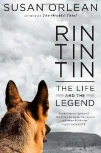Featured image for Résumé de « Rin Tin Tin : La vie et la légende » par Susan Orlean