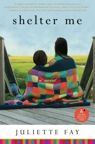 Featured image for Résumé de « Shelter Me » par Juliette Fay