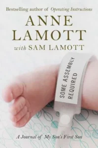 Featured image for Résumé de « Some Assembly Required » par Anne Lamott