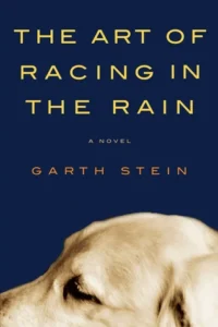 Featured image for Résumé de "L'Art de conduire sous la pluie" par Garth Stein