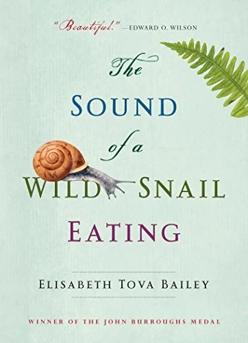 Featured image for Résumé de "Le son d’un escargot sauvage en train de manger" par Elisabeth Tova Bailey