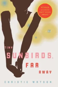 Featured image for Résumé de "Tiny Sunbirds, Far Away" par Christie Watson