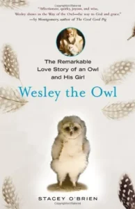 Featured image for Résumé de « Wesley l'hibou » par Stacey O'Brien