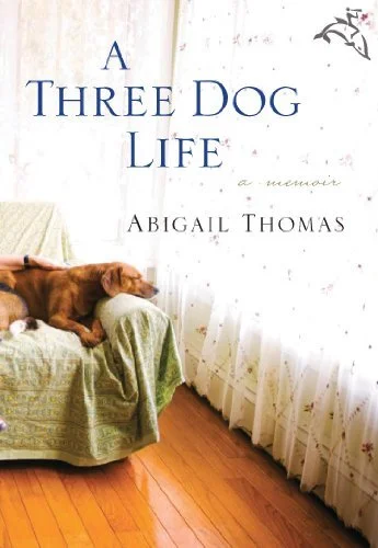 Featured image for Résumé de 'Une vie à trois chiens' par Abigail Thomas