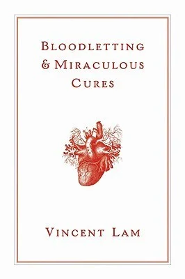 Featured image for Résumé de 'Saignée et miracles' par Vincent Lam