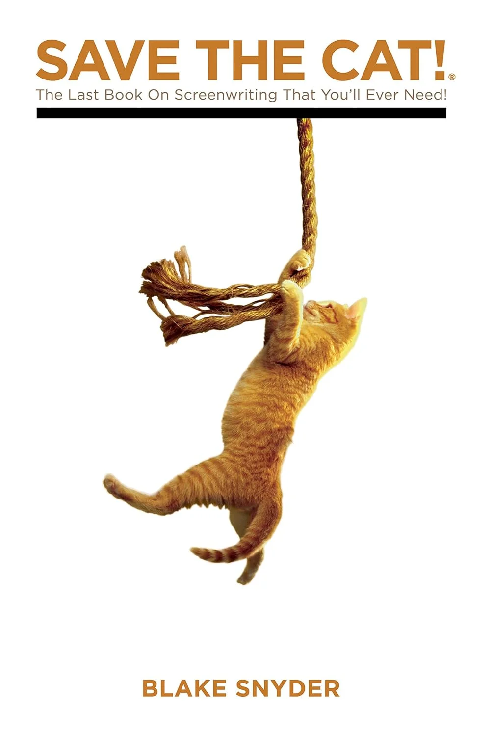 Featured image for Résumé de 'Sauvez le chat ! Le dernier livre sur l'écriture de scénarios dont vous aurez besoin' par Blake Snyder